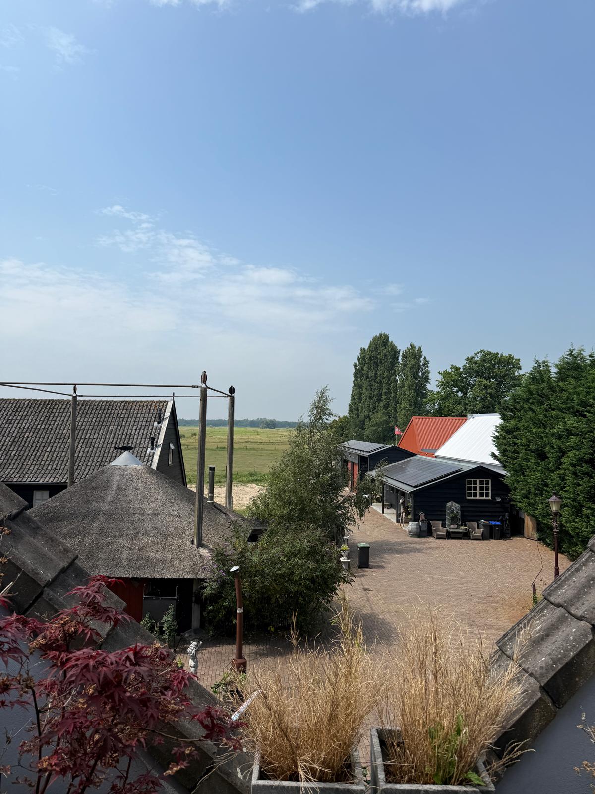 Hans-foto